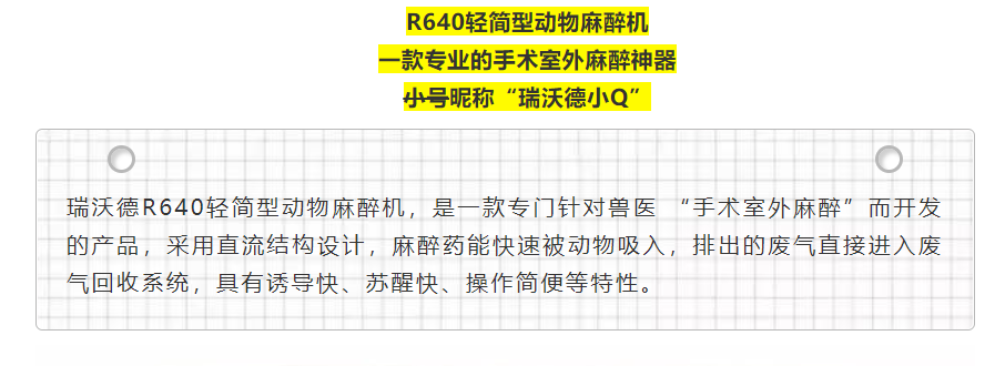 6-Z6·尊龙凯时小Q.png