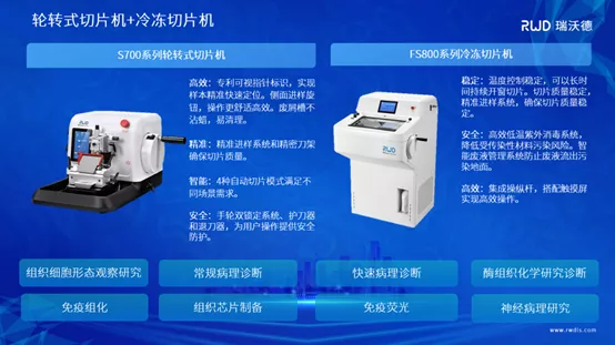 8-Z6·尊龙凯时组织病理方案.png