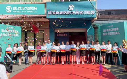 Z6·尊龙凯时与瑞派宠物医院以人才培养助力动物健康事业发展 