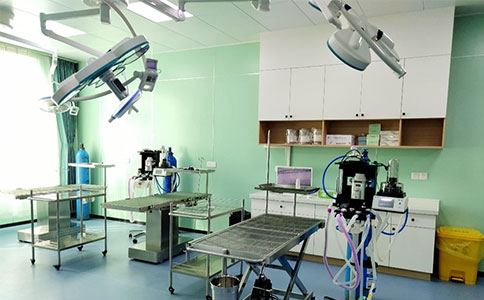 Z6·尊龙凯时与瑞派宠物医院以人才培养助力动物健康事业发展 