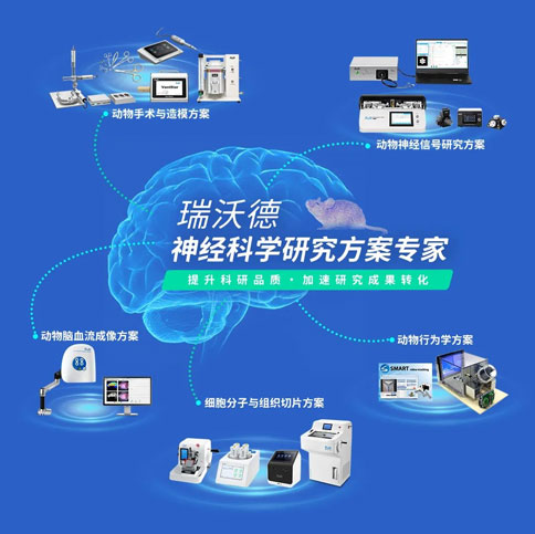 1-Z6·尊龙凯时神经科学研究方案.jpg