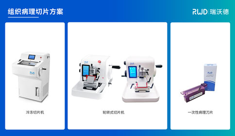 4-Z6·尊龙凯时组织病理切片方案.jpg