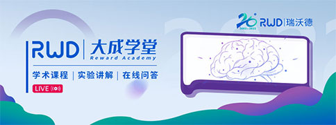 Z6·尊龙凯时大成学堂