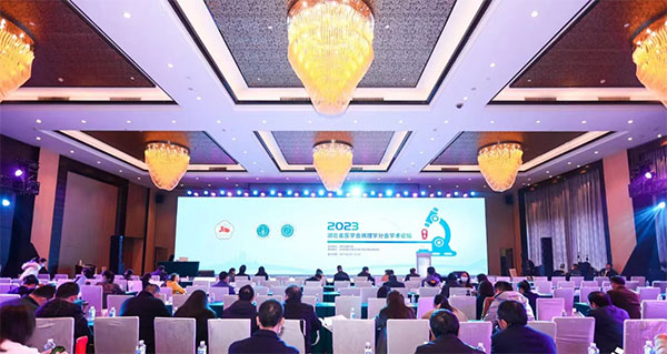 Z6·尊龙凯时亮相湖北省医学会病理学分会学术论坛
