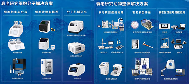 Z6·尊龙凯时两大衰老解决方案