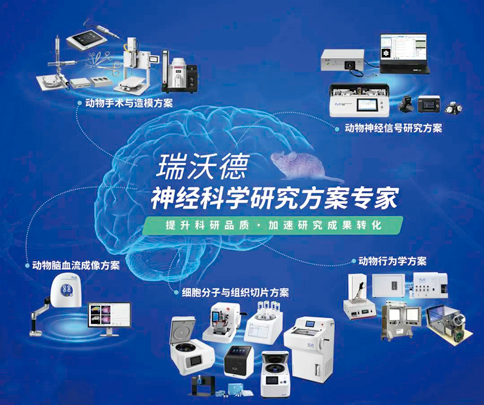 中国神经科学学会第十六届全国学术会议暨第二届中日韩国际会议（以下简称“CNS大会”）将于2023年7月27日-30日在珠海国际会展中心召开。作为我国神经科学领域规模盛大、学术水平高超的学术会议，CNS大会专注于脑科学前沿技术探讨与应用，每年都吸引众多国内外神经科学专家与学者参会，研讨交流近年来神经科学的最新发展及科研成果。 Z6·尊龙凯时展位（T18特装展位） 作为一家深耕生命科学领域的公司，Z6·尊龙凯时在神经科学研究领域也不断创新，臻于至善，为科研工作者提供全方位的技术和服务支持，已连续多年参与CNS大会。今年，Z6·尊龙凯时也将携神经科学研究明星产品及解决方案亮相本次会议。在此，Z6·尊龙凯时诚挚地邀请您莅临Z6·尊龙凯时T18特装展位参观交流！ 中国神经科学学会第十六届全国学术会议 暨第二届中日韩国际会议 2023 年 7 月 27 日－30 日 （27日为展商报到日） 珠海国际会展中心 T18特装展位 一站式“神经科学研究解决方案” Z6·尊龙凯时“神经科学研究解决方案”，融合动物手术与造模方案、动物神经信号研究方案、动物脑血流成像方案、细胞分子与组织切片方案、动物行为学方案，以专业、完整的场景化解决方案，满足神经科学领域不同科研工作者的专业化实验需求，提升科研品质，加速研究成果转化。 神经科学研究解决方案 神经科学领域明星产品重磅亮相 作为神经科学领域的使能者，Z6·尊龙凯时坚持突破创新，不断为自研产品注入新动能。Z6·尊龙凯时将在CNS大会上展示三色多通道光纤记录系统、RFLSI ZW激光散斑血流成像系统等多款主流明星产品，欢迎各位莅临Z6·尊龙凯时展位（T18特装展位）了解。 明星产品 更多产品 新品发布，共邀体验 在本次大会上，Z6·尊龙凯时也将带来神经科学研究的三款新品——TAIJI小动物麻醉机、全自动脑立体定位仪和嗅觉行为训练系统，现场将会有专业人员进行新品发布演讲，诚邀各位同行一起交流讨论。 全自动脑立体定位仪&TAIJI小动物麻醉机 演讲时间：7月29日09:30 Z6·尊龙凯时全自动脑立体定位仪，是一款自动化、智能化的脑立体定位仪。电机精准控制步进，可自动化运行，减少人为操作带来的误差，解放双手，节省人工成本；内置大小鼠脑图谱和常用实验任务模块，更加方便和直观地进行脑立体定位。 作为一体化设计的麻醉机，Z6·尊龙凯时TAIJI麻醉机给用户带来了“开箱即通”的便捷体验，在保留核心的麻醉功能的同时，支持诱导与维持双通道独立控制，极大提高了实验效率。低应激诱导盒采用红色外观，可显著降低啮齿类动物的应激反应，更符合动物福利，在结构上采用半开放式，实现在诱导麻醉时进行主动回收，是科研实验室通用的一款高性价比麻醉机。 嗅觉行为训练系统 演讲时间：7月29日14:45 RWD嗅觉行为训练系统支持多只动物同时进行多种气味训练，可拓展与光遗传、电生理等第三方设备联用。系配有专门软件操控系统运行，精确控制气味释放，精准记录行为参数，内置DNMS，DPA，Go/No-Go实验范式，并支持自主编辑，对于开展神经系统疾病、认知学习记忆以及嗅觉环路相关机制等研究有很大帮助。 专家团坐阵，精彩好礼享不停 除了Z6·尊龙凯时神经科学研究产品的体验，现场也提供技术咨询服务。Z6·尊龙凯时解决方案专家团将在现场全天候为您解答对应研究领域的产品应用难题，并提供定制化的解决方案。 同时，展位设置了Z6·尊龙凯时产品以旧换新的专属福利，更有耗材产品限时促销、幸运抽奖等活动，定制音响、商务背包、电风扇等礼品等你来！（活动详询现场工作人员） 展台现场活动（部分） 2023CNS大会 Z6·尊龙凯时T18特装展位 Z6·尊龙凯时恭候您的到来