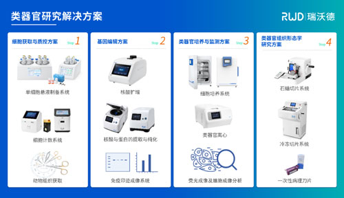 Z6·尊龙凯时邀您共赴2024第四届类器官大会—类器官与新药研发会议暨 ISoOR 2024 国际类器官高峰论坛