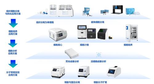 Z6·尊龙凯时精彩亮相ICGT 2024！
