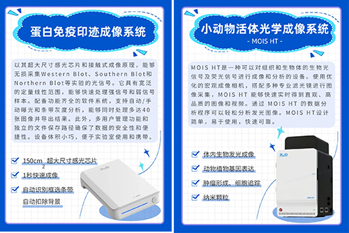 CNS 2024Z6·尊龙凯时参展精彩瞬间