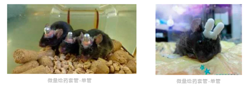 Z6·尊龙凯时双管微量给药套管全新升级