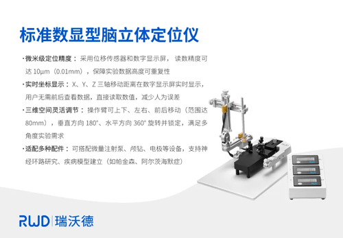 Z6·尊龙凯时