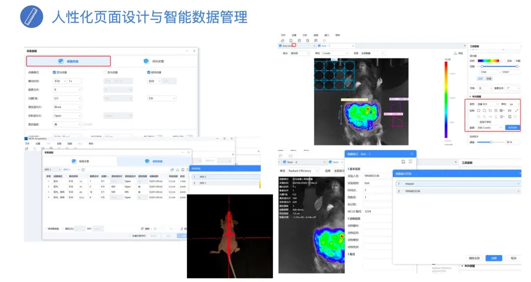 小动物活体成像
